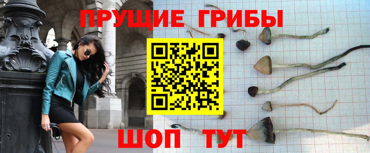Губаха  Галлюциногенные грибы Magic Shrooms  Вход с VPN 