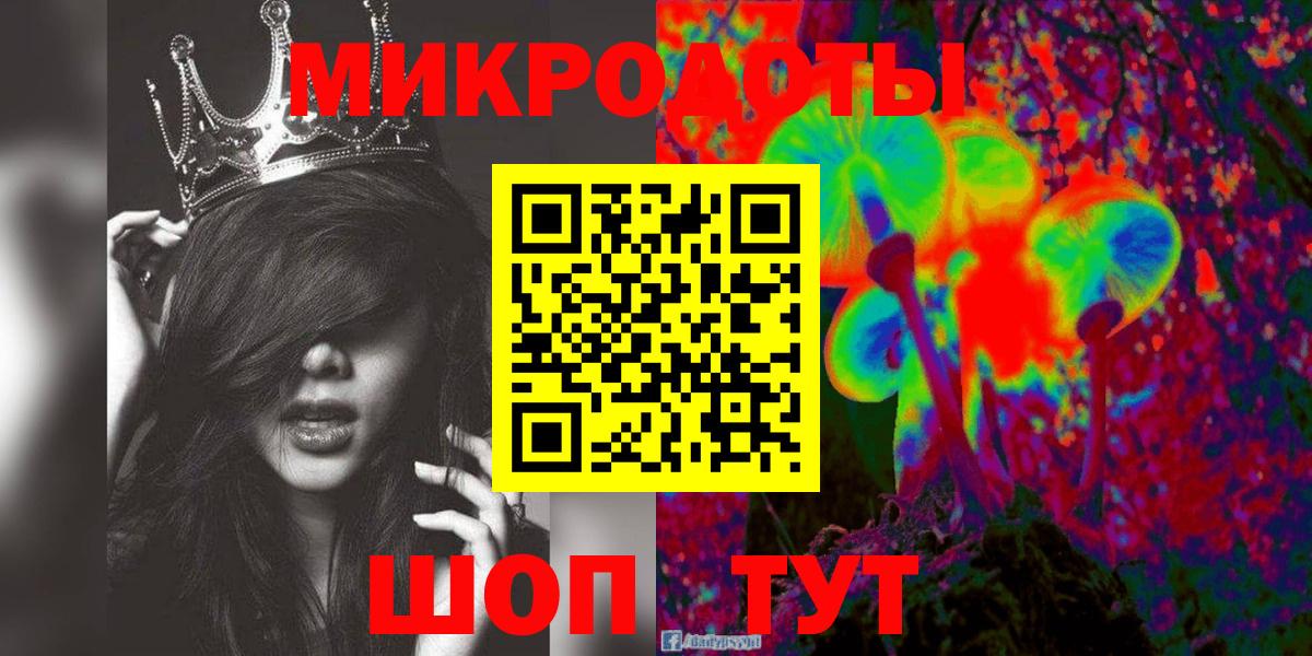Псилоцибиновые грибы Psilocybine cubensis Губаха